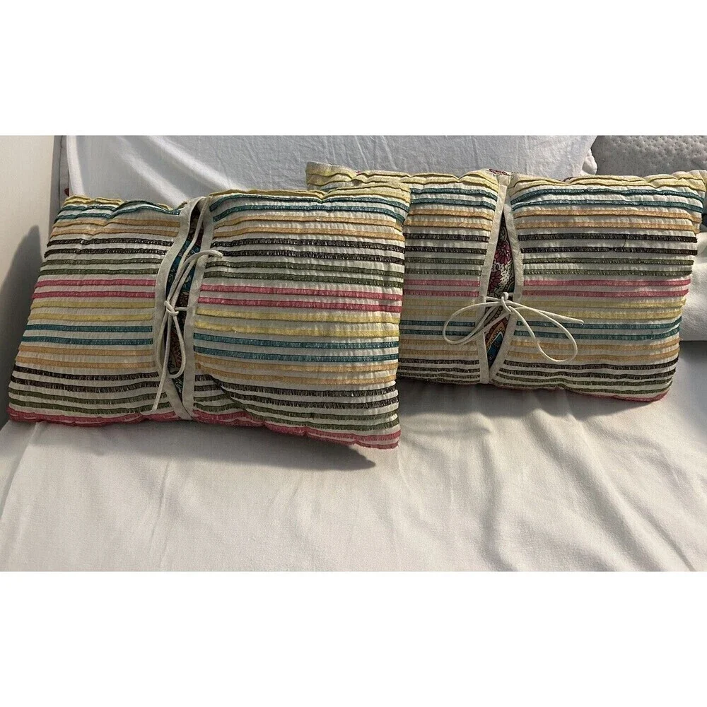 2 Rare Unique Paisley Striped Cotton Throw Pillows Pier One Imports